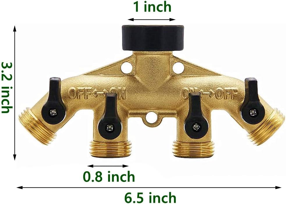 Biswing product image